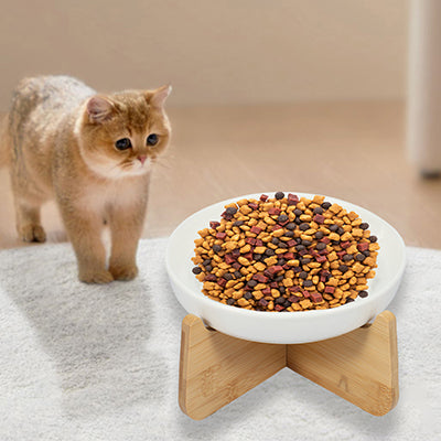 gamelle-anti-glouton-chat-surelevee-approche-doucement