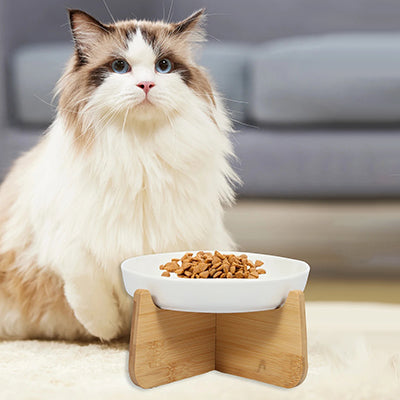 gamelle-anti-glouton-chat-surelevee-couverture