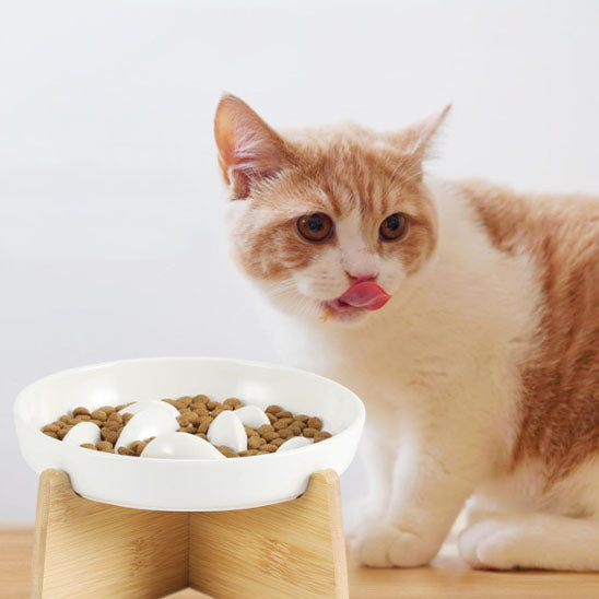 gamelle-anti-glouton-chat-surelevee-delicieux