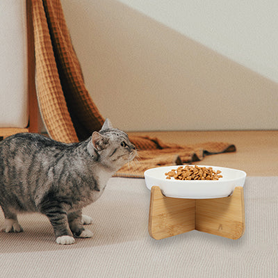 gamelle-anti-glouton-chat-surelevee-surpris