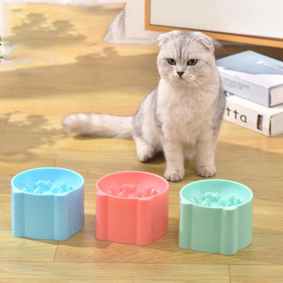 gamelle-anti-glouton-pour-chat-gamme
