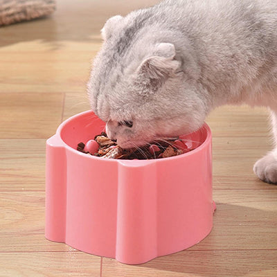 gamelle-anti-glouton-pour-chat-penche-pour-manger