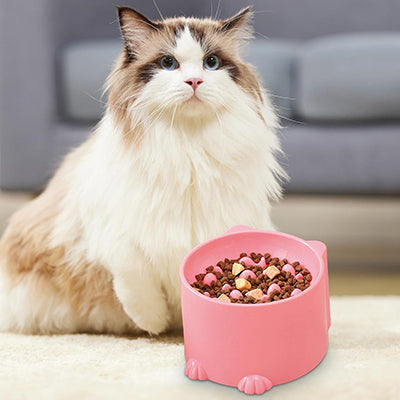 gamelle-anti-glouton-pour-chat-presentation