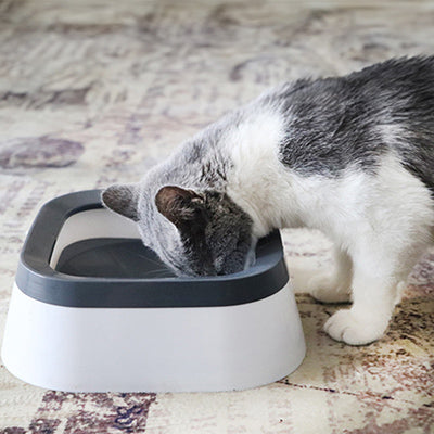 gamelle-chat-anti-eclaboussure-boit-sans-eclaboussure