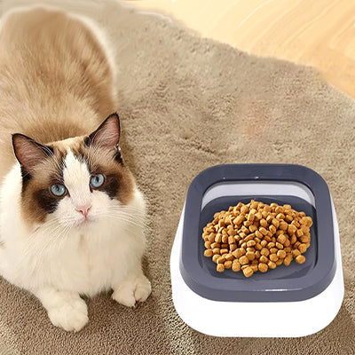 gamelle-chat-anti-eclaboussure-bol-rempli