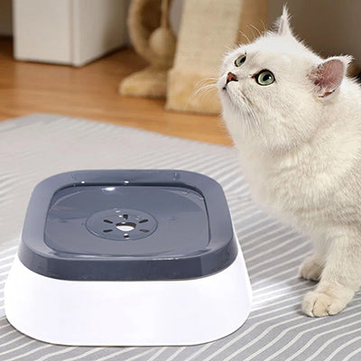 gamelle-chat-anti-eclaboussure-regard-au-ciel