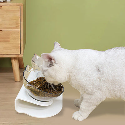 gamelle-chat-double-bol-dans-salon