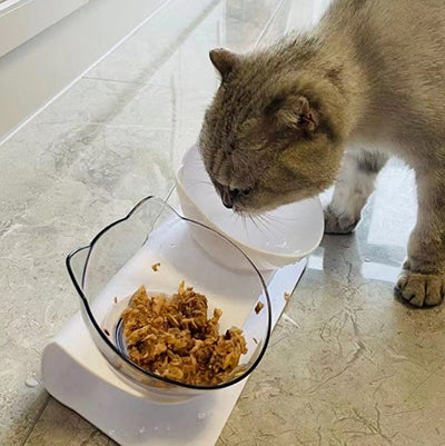 gamelle-chat-double-bol-eau-et-croquettes