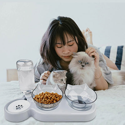 gamelle-chat-surelevee-double-avec-fillette-et-chats