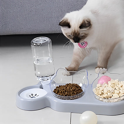 gamelle-chat-surelevee-double-ergonomique-avec-eau