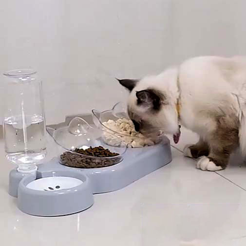 gamelle-chat-surelevee-double-mange-avec-appetit