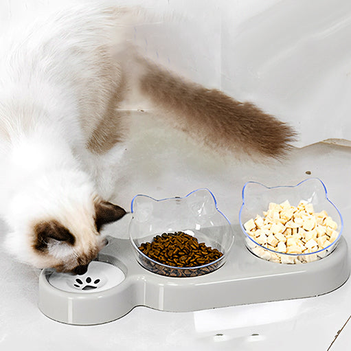 gamelle-chat-surelevee-double-rempli-d-eau-et-croquettes