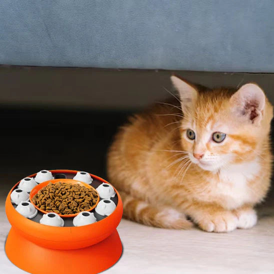 gamelle-chat-surelevee-interactive-chaton-surpris