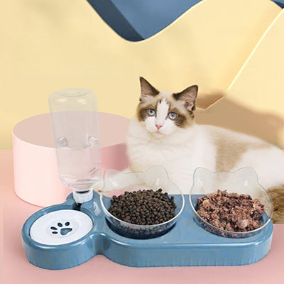 gamelle-chat-surelevee-trois-en-un-coucher-devant-sa-gamelle