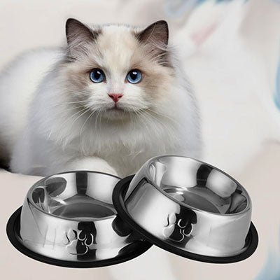 Gamelle pour chat en inox