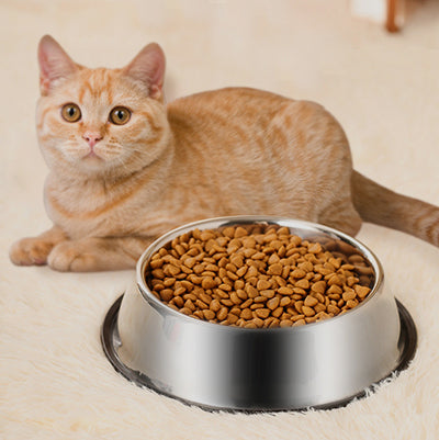 Gamelle pour chat en inox