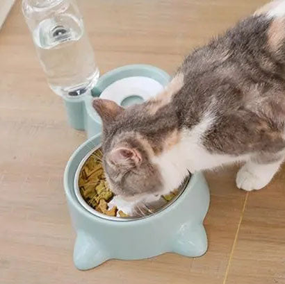 Gamelle pour chat deux-en-un
