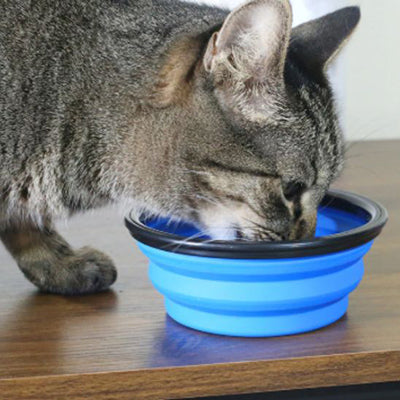 gamelle-pour-chat-pliable