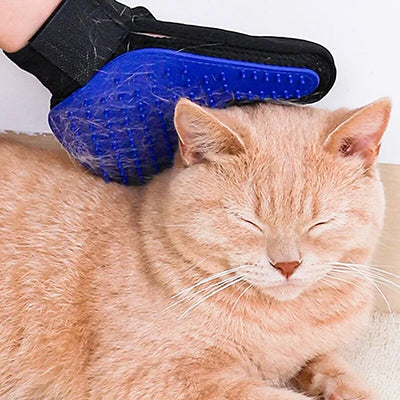 Gant brosse chat