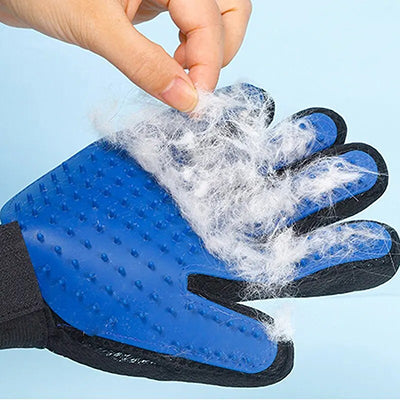 Gant brosse chat