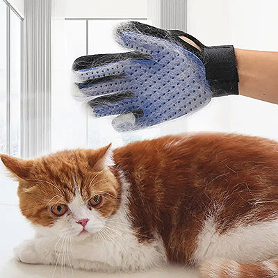 Gant brosse chat