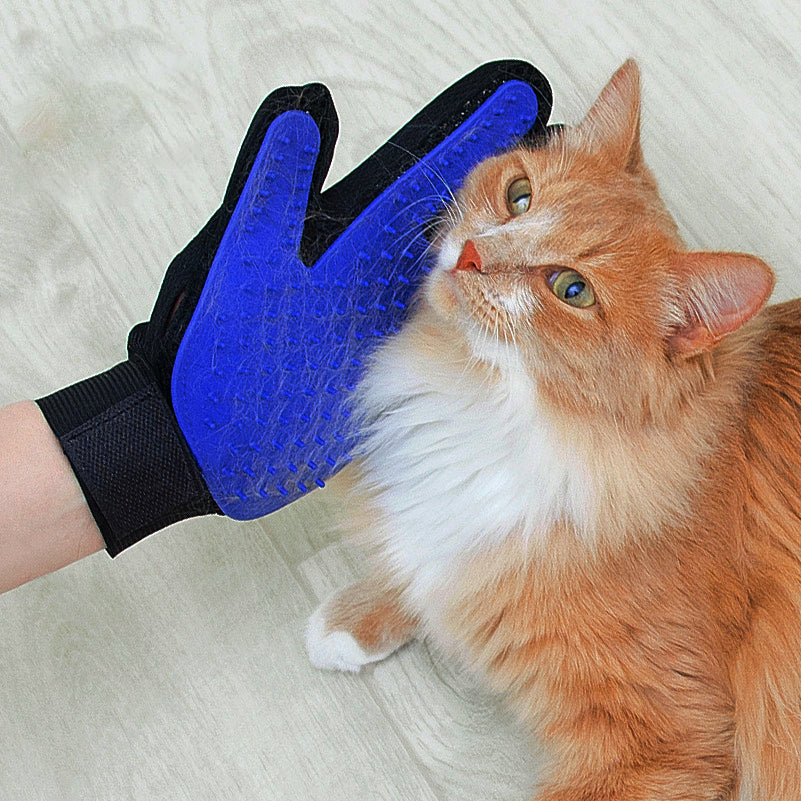 Gant brosse chat
