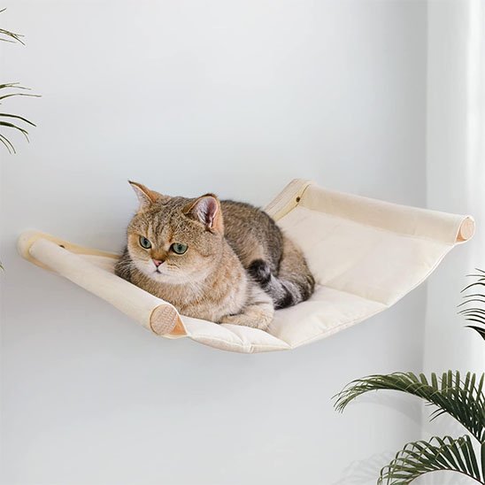 hamac-chat-cozy-perch-chat-relaxe