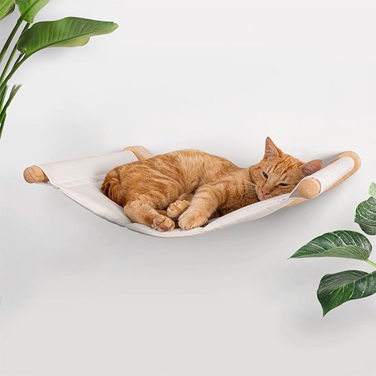 hamac-chat-cozy-perch-repos