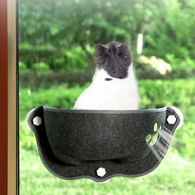 hamac-chat-de-fenetre-chat-de-dos