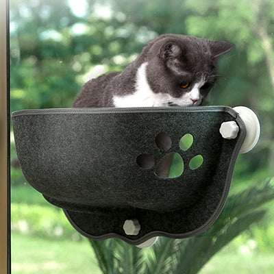 hamac-chat-de-fenetre-chat-regarde-en-bas