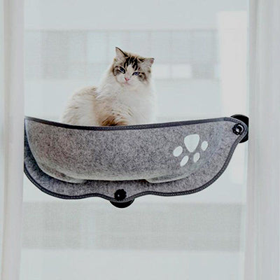 hamac-chat-de-fenetre-chat-vu-de-la-fenetre