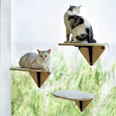 hamac-chat-en-bois-chat-de-dos-et-face