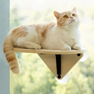 hamac-chat-en-bois-chat-detendu