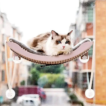 hamac-chat-fenetre-avec-griffoir-regard