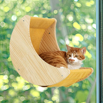 hamac-chat-fenetre-design-incurve-chat-allonge-surpris