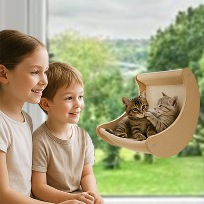 hamac-chat-fenetre-design-incurve-chatons-et-enfants