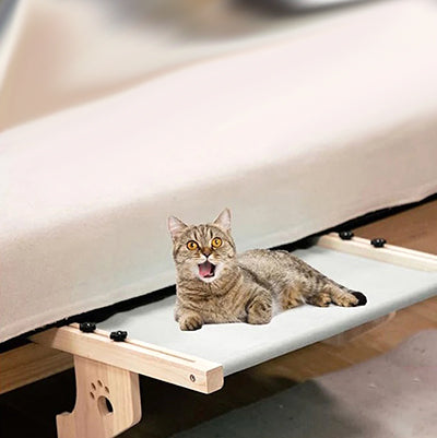 hamac-chat-fenetre-sans-ventouse-lit