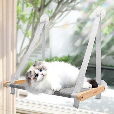 hamac-fenetre-chat-avec-ventouses-chat-allonge-et-detendu