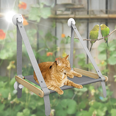 hamac-fenetre-chat-avec-ventouses-chat-allonge-et-perruche