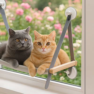 hamac-fenetre-chat-avec-ventouses-deux-chats-gris-et-roux