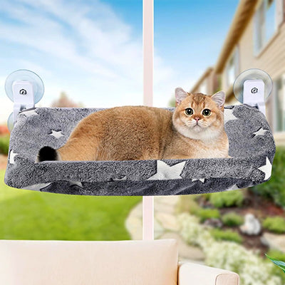 hamac-fenetre-chat-confort-douillet-avec-chat-de-face
