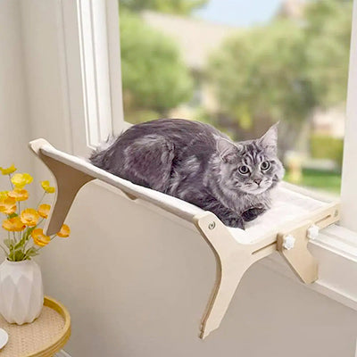 hamac-fenetre-chat-multi-scenes-bord-de-fenetre