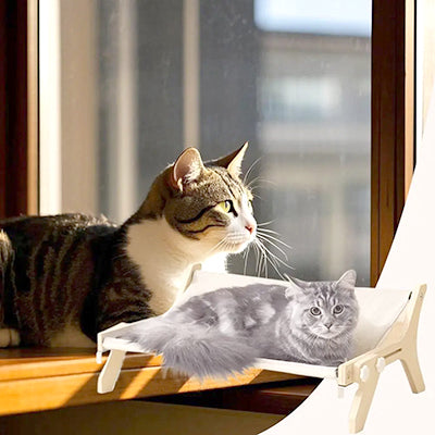 hamac-fenetre-chat-multi-scenes-repos