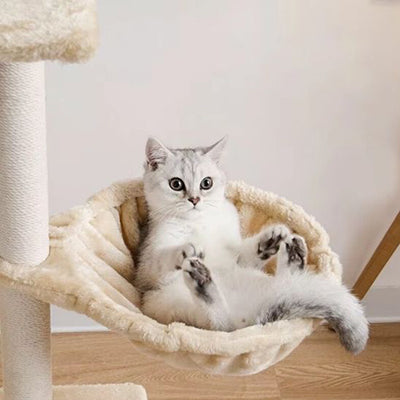 hamac-pour-chat-arbre-a-chat-dos