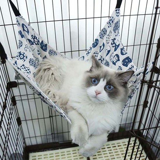 hamac-pour-chat-cozy-paws-chat-allonge