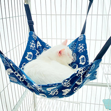 hamac-pour-chat-cozy-paws-chat-de-dos