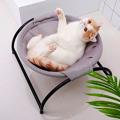 hamac-pour-chat-de-salon-chat-filou