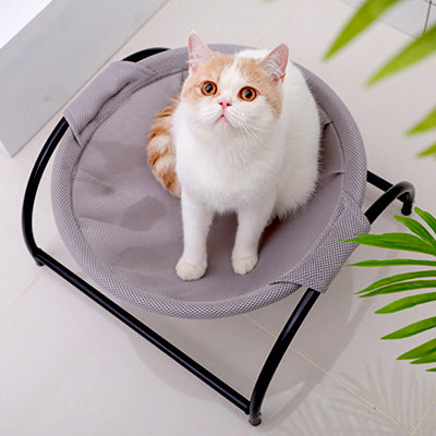 hamac-pour-chat-de-salon-regarde