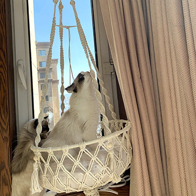 hamac-pour-chat-en-macrame-fenetre