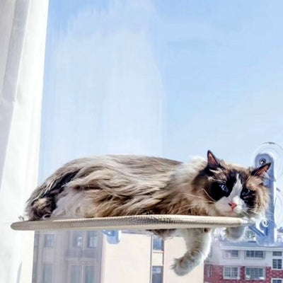 hamac-pour-chat-fenetre-pliable-avec-chat-allonge-dessus-le-hamac
